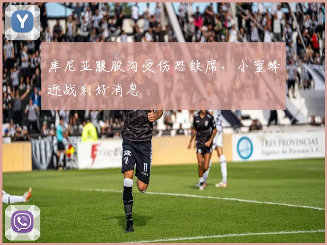 库尼亚腹股沟受伤恐缺席,小蜜蜂迎战利好消息