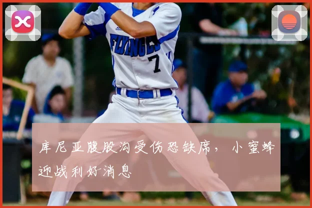 库尼亚腹股沟受伤恐缺席,小蜜蜂迎战利好消息